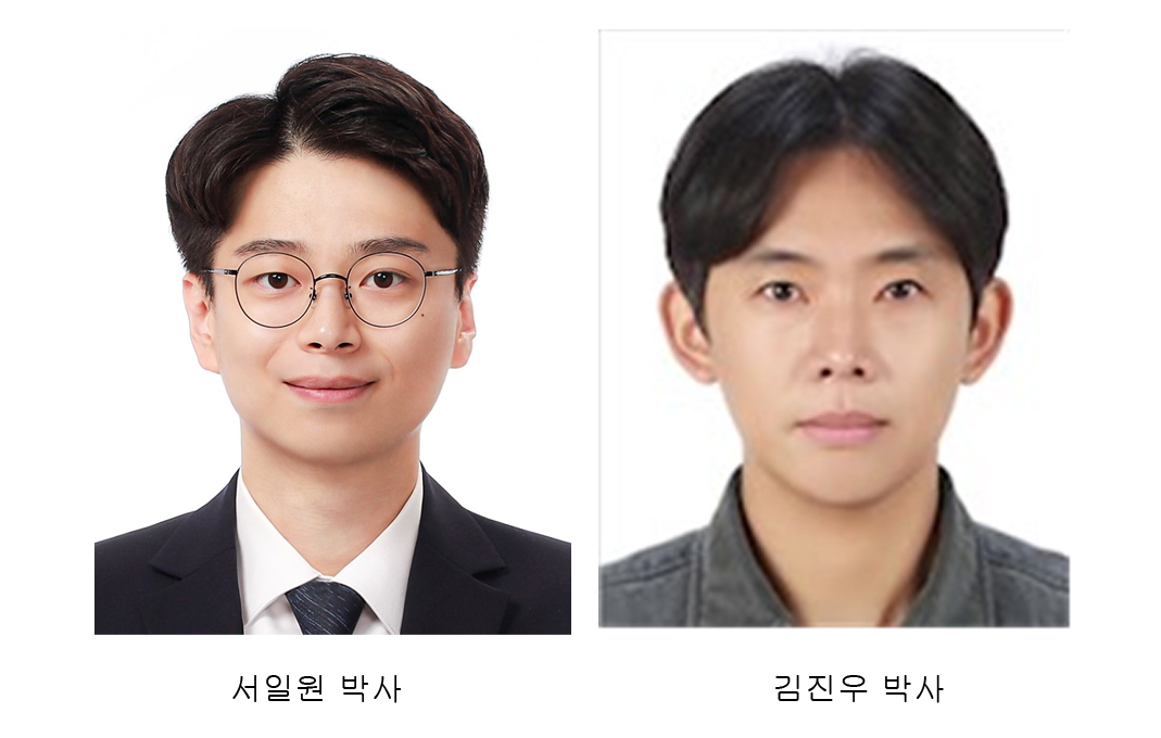 철갑 딱정벌레 모사한 몸에서 녹는 혈관 스텐트 개발 대표이미지