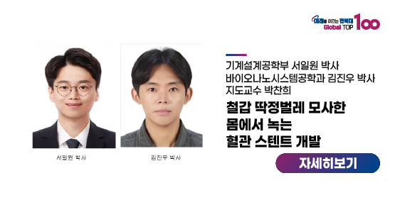 철갑 딱정벌레 모사한 몸에서 녹는 혈관 스텐트 개발